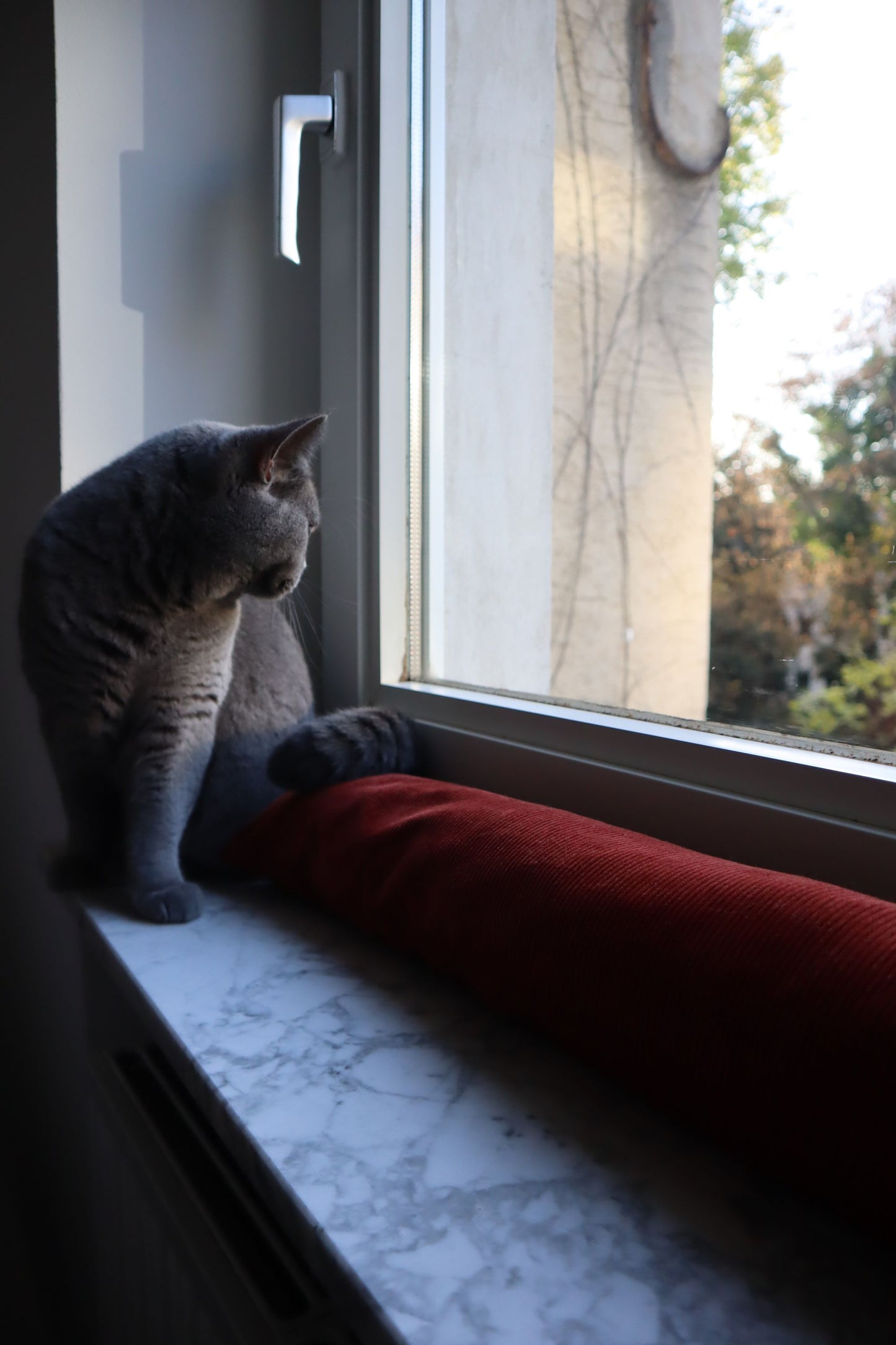 Zugluftstopper aus Bio-Baumwollcord - Made in Germany